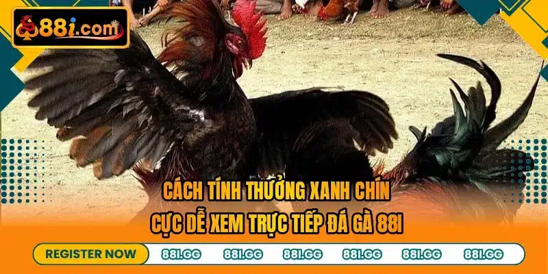 Cách tính thưởng xanh chín cực dễ xem trực tiếp đá gà 88I
