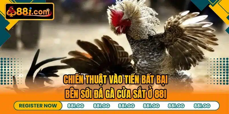 Chiến thuật vào tiền bất bại bên sới đá gà cửa sắt ở 88I