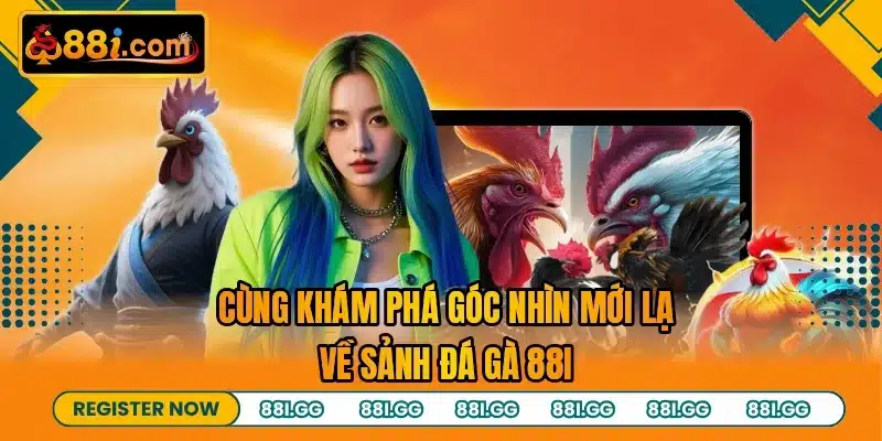 Cùng khám phá góc nhìn mới lạ về sảnh đá gà 88I