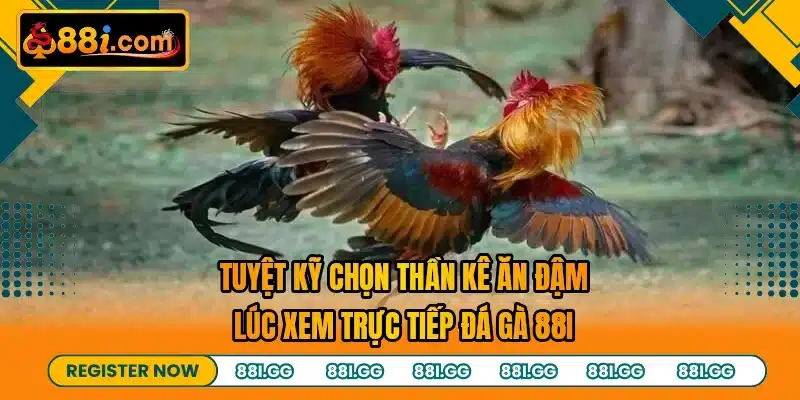 Tuyệt kỹ chọn thần kê ăn đậm lúc xem trực tiếp đá gà 88I
